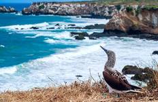 Circuit Aventure pédestre aux Galápagos