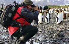 Falkland, Südgeorgien und Antarktis - M/V Sylvia Earle (Okt) Rundreise