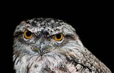 Sri Lanka's Wild in Luxury Tour