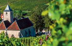 Tastes of the Rhone – A Culinary Cruise 2027 - 8 Days (from Marseille to Lyon) Tour