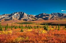 Alaska by Sea and Land Vancouver → Fairbanks (2027) Tour