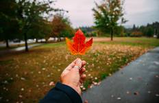 Rockies Odyssey and Alaska Cruise Victoria → Vancouver (2027) Tour