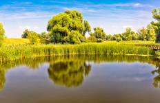 Circuito El majestuoso Danubio, el auténtico Sava y el lago Balatón (crucero puerto a puerto)