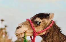 Marokko Touren 9 Tage Touren Start und Ende in Marrakesch Reise