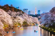 Japan Discovery Tour