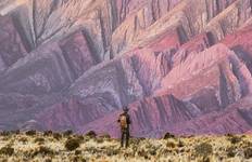 Argentina & Bolivia: Salt Flats and Desert Tour