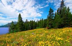 Exploring America\'s Great Parks Tour