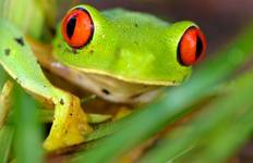 Natural Wonders of Costa Rica Tour