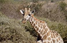 Circuit 14 jours d'exploration du Zimbabwe et du Mozambique - camping