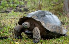 Circuit Complet Galapagos (Grand Daphne)