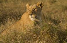 Kenya & Tanzania 4WD Safari Adventure 10D/9N Tour