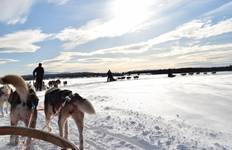 Levi Lapland Entdeckerreise - 6 Tage Reise