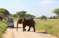 Circuit Kilimandjaro Marangu Summit and Camping Safari