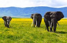 21-day Victoria Falls to Serengeti (Accommodated) Tour