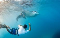 Circuito Feejee Five - 11 días/10 noches