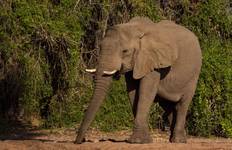 Circuito 41 días de Ciudad del Cabo a Kenia - alojamiento