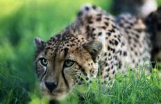 Nairobi - Harare 24 Tage Reise