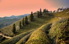 Rondreis 2026 Ontdek Korea in 7 dagen: Een samengestelde all-inclusive ervaring met DMZ-touroptie