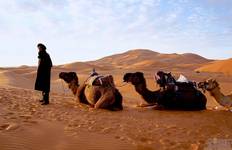 Desert Immersion Tour