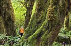 Secrets Of The West Coast | Vancouver Island Active Tour Tour