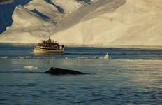 Highlights of Iceland & Greenland - 8 days Tour