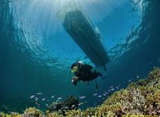 Turtle Conservation Papua New Guinea Tour