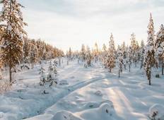 Nieuwjaar in Finland - 6 dagen-rondreis