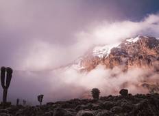 Beklimming Kilimanjaro: 8 Dagen Marangu Route-rondreis