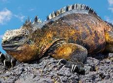 7 Day Galapagos Island Hopping Budget Tour