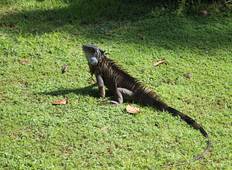 Die Essenz Costa Ricas – Reisepaket mit Guanacaste Rundreise