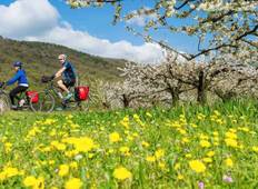 Rhone Cycle Path: Lyon to Provence Tour