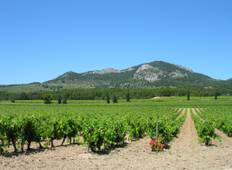 Vineyards of Vaucluse Cycling Tour