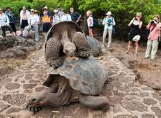 Santa Cruz & Isabela - Das Beste von Galapagos (5 Tage) Rundreise