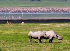 Safari zur Wildtier und Vogelbeobachtung - 8 Tage Rundreise