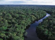 4-tägige Iquitos Dschungel Ausflug in Maniti Eco-Lodge Rundreise