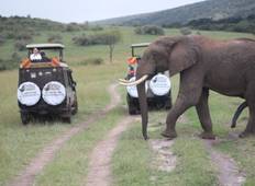 Unglaubliche Masai Mara Big Five & Migration Private Land Cruiser Safari - 3 Tage Rundreise
