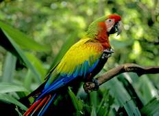 Costa Rica: Eine Welt der Natur Rundreise