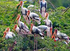 Goldenes Dreieck Rundreise mit Bharatpur Vogelschutzgebiet Rundreise