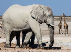 7-Days Sossusvlei, Swakopmund & Etosha National Park (Lodging) Tour