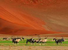 8-Day Sossuvlei, Swakopmund and Etosha National Park (Lodging) Tour