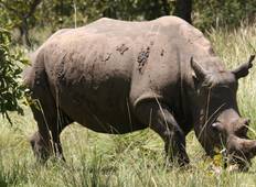 15 Tage Uganda Wildlife und Aktivurlaub Rundreise