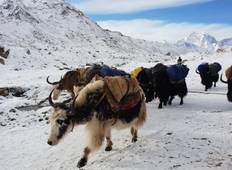 Beste Everest Basiskamp Trek -13 Dagen-rondreis