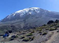 8 Days kilimanjaro climbing  Lemosho Route Tour