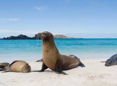 Highlights Of Quito and Galapagos Islands Tour