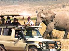 6 Dagen - Safari Noord-Tanzania-rondreis