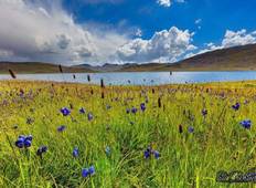 Exciting Tour to Rama Meadows , Fairy Meadows, Rama meadows, Gilgit Baltistan, Pakistan Tour