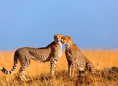 Best of East Africa Tour