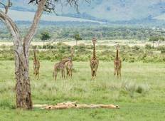 Hemingways Camping Safari Kenia - 4 Tage Rundreise