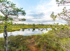 Selbstgeführter Wanderurlaub in der Kurischer Nehrung - 7 Tage Rundreise