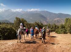 Family Marrakech, Atlas & Essaouira Adventure Tour